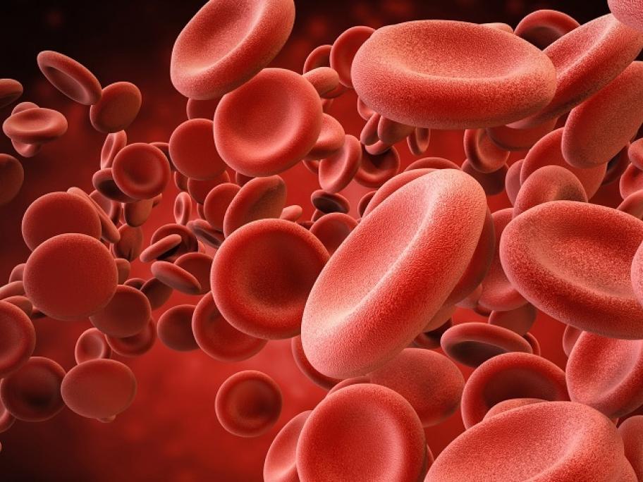 platelets