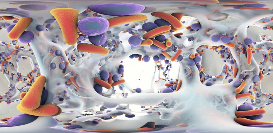 antibiotic-resistant bacteria