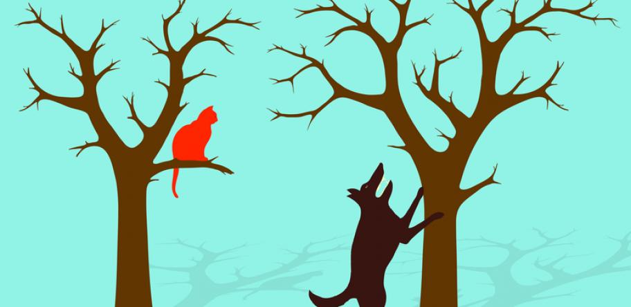 barking up the wrong tree