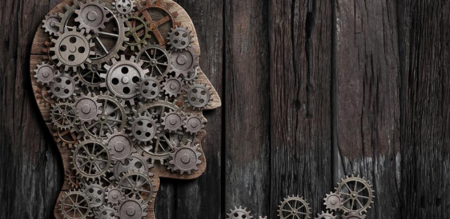 brain function