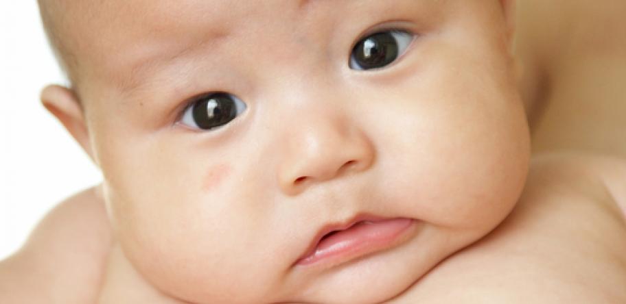 fat baby