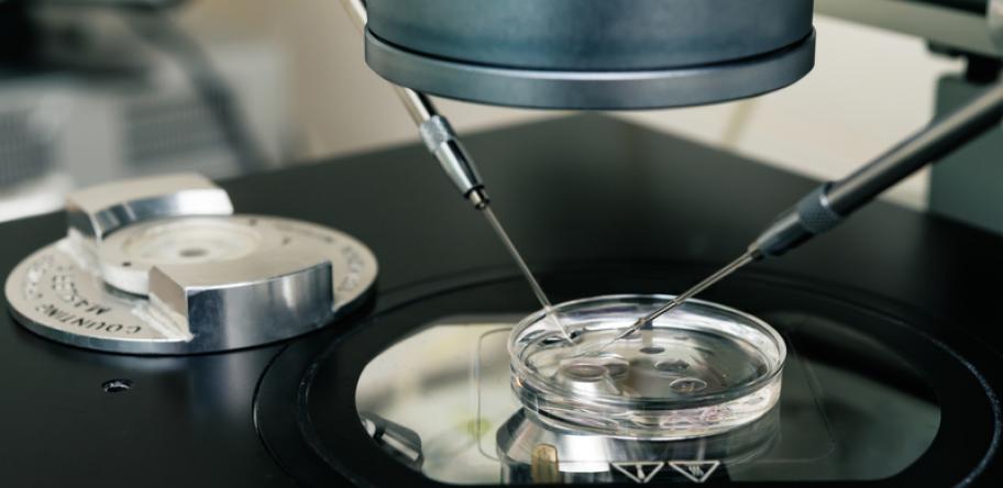 IVF