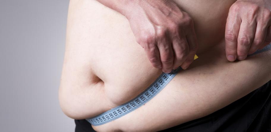 fat gut