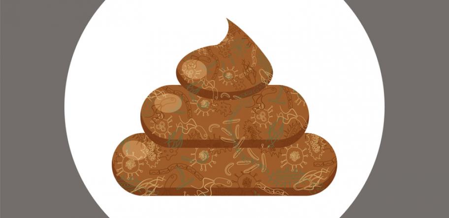 poo