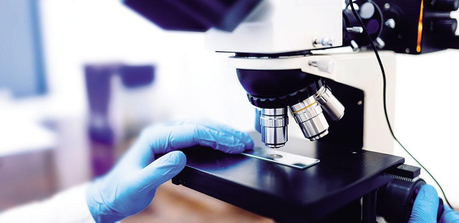 microscope