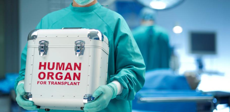 Organ transplant