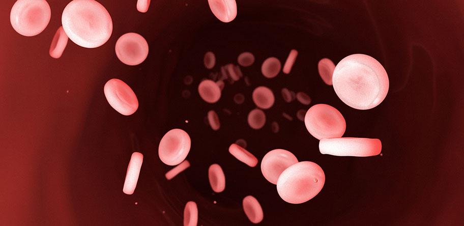 blood cells