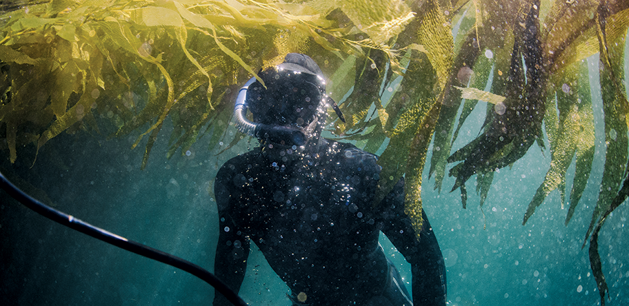 scuba diver
