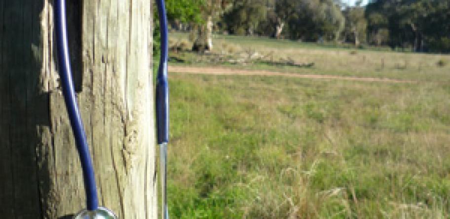 rural doctor