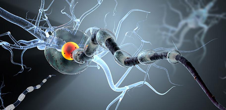 brain action