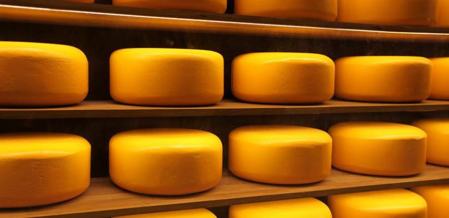 cheese