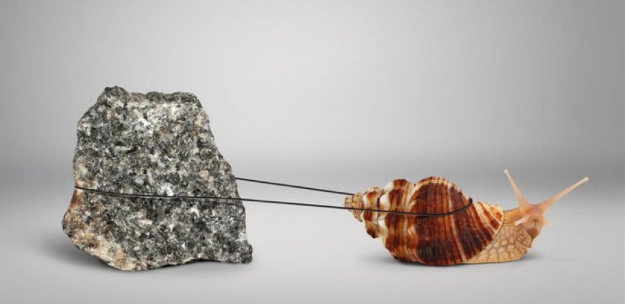 snail dragging a rock