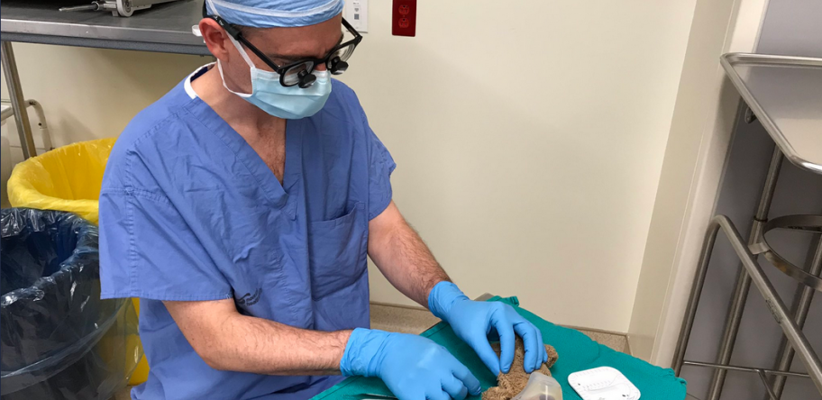 Dr Daniel McNeely