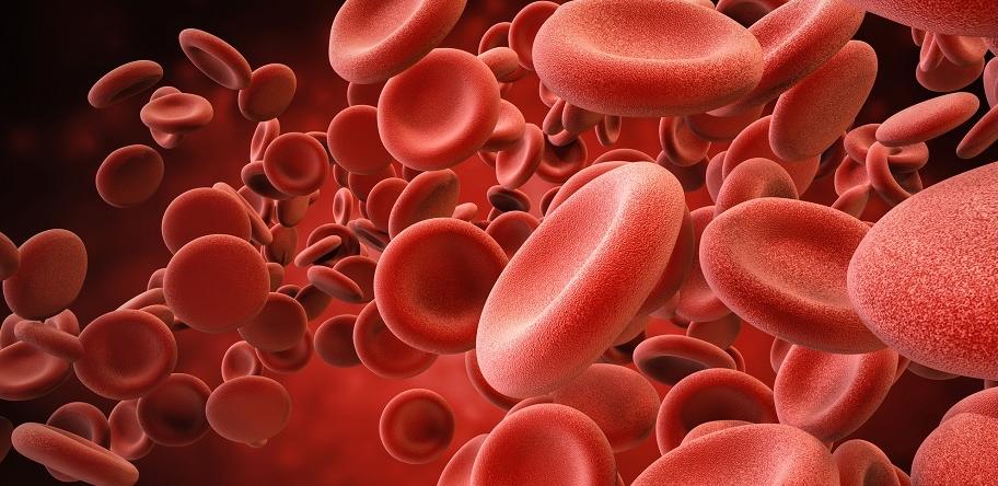 platelets