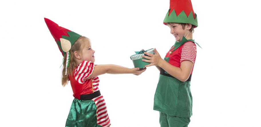 Elves
