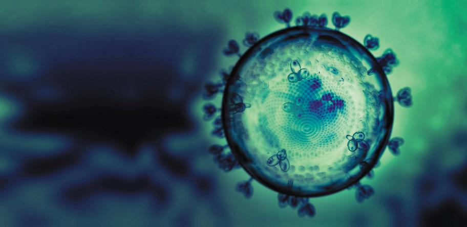 HIV virus