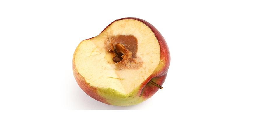 rotten apple