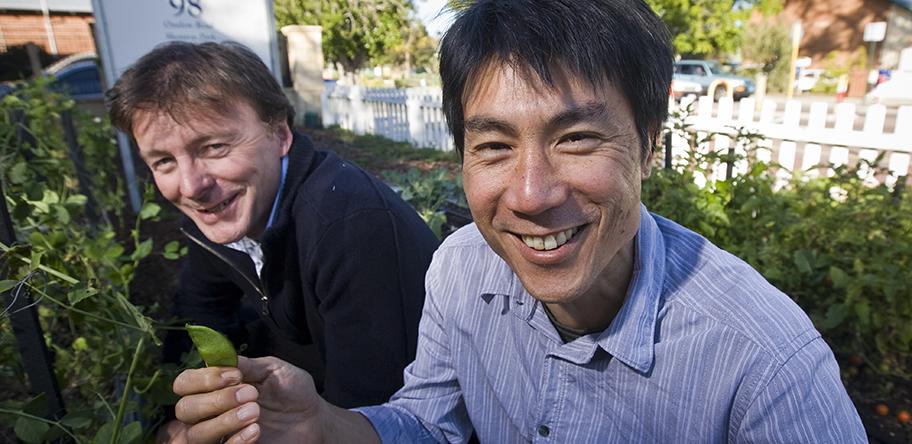 Dr Crisp and Dr Yin