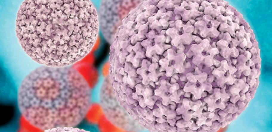 HPV virus