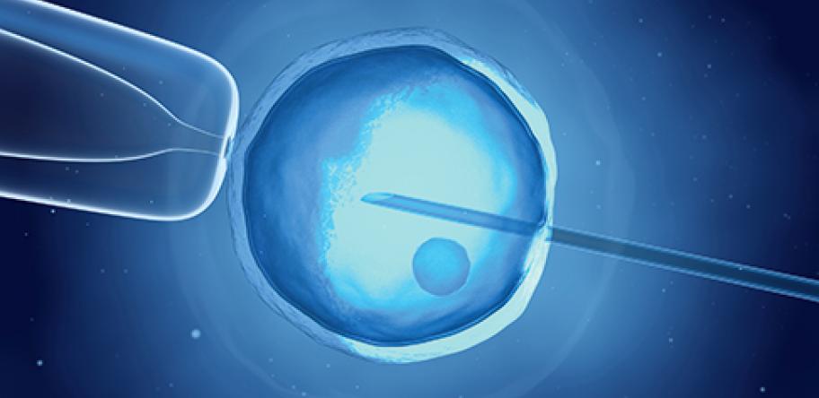 IVF