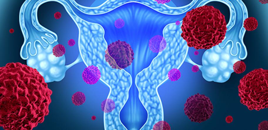 Cervix