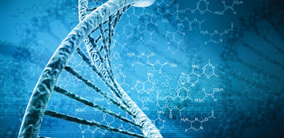 DNA molecule