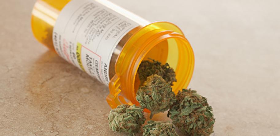 cannabis